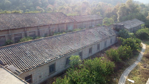 刘名正老板的猪场全景